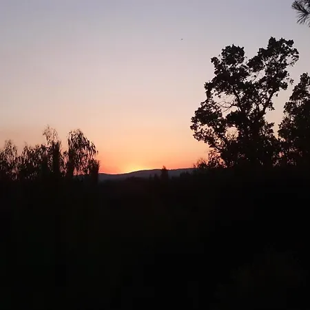 Casa Da Abelha- Beehouse * Romao (Leiria)